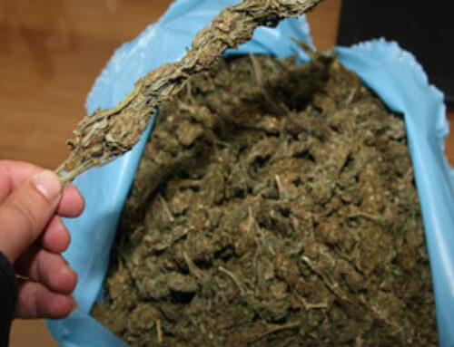 Αίγιο: Εξάρθρωση κυκλώματος που εισήγαγε ναρκωτικά από την Ταϊλάνδη!