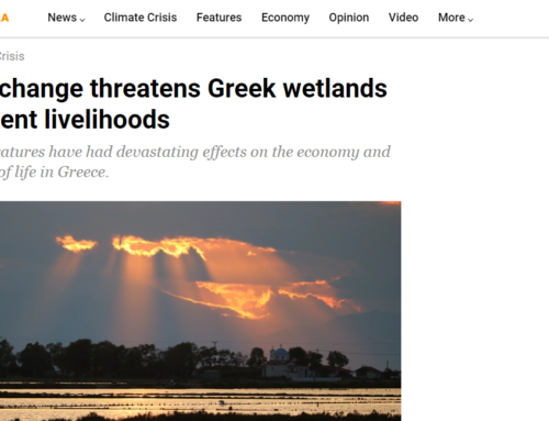 To “AlJazzera” για τις επιπτώσεις της κλιματικής αλλαγής στο οικοσύστημα της Λιμνοθάλασσας Μεσολογγίου
