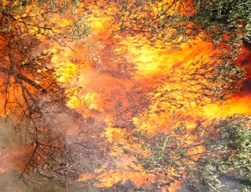 Σε εξέλιξη δασικές πυρκαγιές σε Ναύπακτο και Βόνιτσα- Μήνυμα από το 112 για απομάκρυνση από Πλατανίτη και Μολύκρειο (VIDEO)