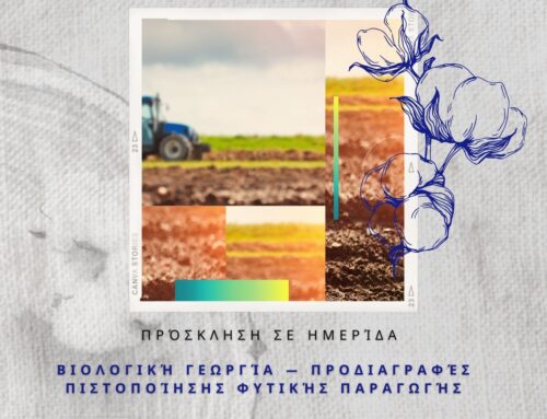 “Ατμομηχανή” για την βαμβακοκαλλιέργεια στο δήμο Μεσολογγίου η “Κλωστοϋφαντουργεία Ναυπάκτου” – Ενημερωτική ημερίδα στο Μεσολόγγι για το EU Cotton