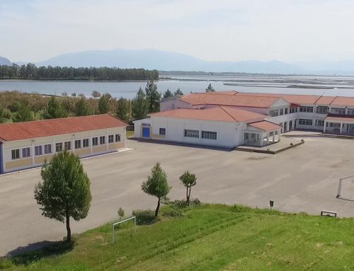 Πανελλαδικές 2026: Μεγάλες επιτυχίες για το 1ο ΕΠΑΛ Μεσολογγίου – Ο Άγγελος – Μάριος Ζάρρας  2ος στη Φαρμακευτική Πατρών