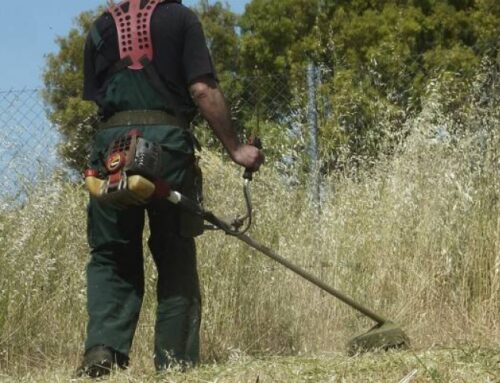 Ανακοίνωση του δήμου Μεσολογγίου για την υποχρέωση καθαρισμού ιδιωτικών οικοπέδων από ξερά χόρτα και εύφλεκτα υλικά