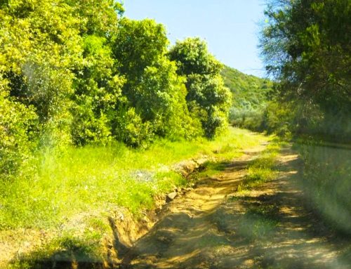 Χιλιάδες ιδιοκτήτες αγροτικών εκτάσεων απαλλάσσονται από τις διεκδικήσεις του Δημοσίου