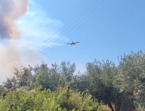 Μεσολόγγι: Μεγάλες ζημιές από τη χθεσινή πυρκαγιά στη Στάμνα – Η φωτιά πέρασε τον Αχελώο και απείλησε γειτονικές κοινότητες