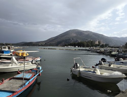 Νέο τοπικό Brand για τα προϊόντα και τον τουρισμό Αμφιλοχίας και Βόνιτσας