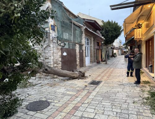 Στο «έλεος» των θυελλωδών ανέμων το Μεσολόγγι: Ζημιές, πτώσεις δέντρων και εκτεταμένα black out