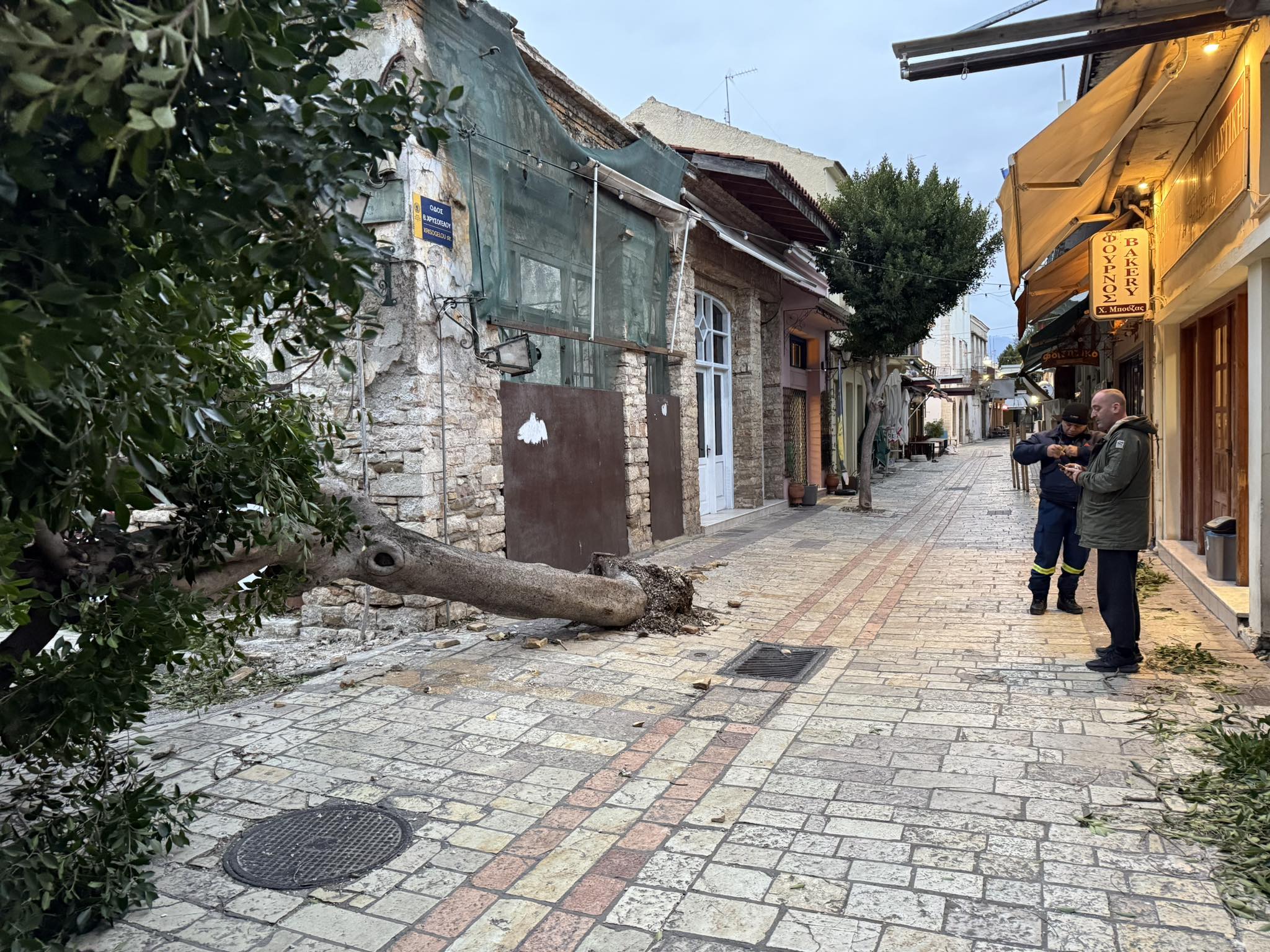 Πτώση δέντρου στο Μεσολόγγι από κακοκαιρία