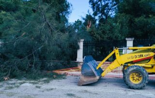 Πτώση μεγάλου δέντρου στον Κήπο των Ηρώων στο Μεσολόγγι λόγω ισχυρών ανέμων