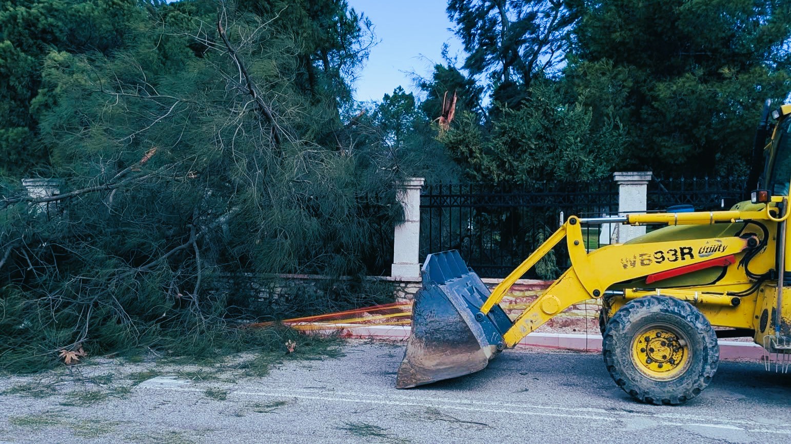 Πτώση μεγάλου δέντρου στον Κήπο των Ηρώων στο Μεσολόγγι λόγω ισχυρών ανέμων