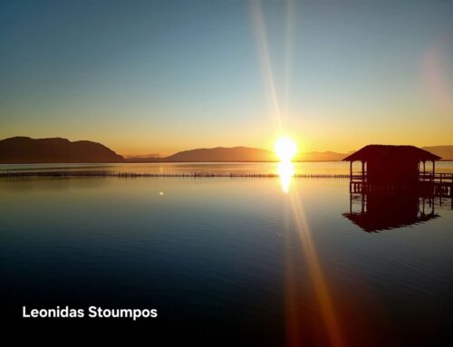 Πρωτοχρονιά του 2026 με μια μαγική ανατολή στη λιμνοθάλασσα Μεσολογγίου