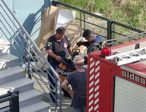 Δίμετρο φίδι αναστάτωσε τη γειτονιά των Φιλελλήνων στο Μεσολόγγι – Επιχείρηση απομάκρυνσης από την Πυροσβεστική