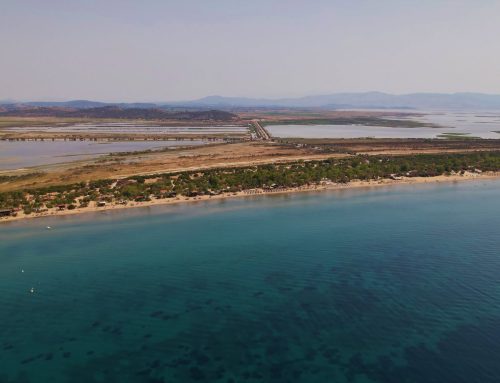 Οινιάδες: Στο «μικροσκόπιο» της Κτηματικής οι παραλίες σε Λούρο και Διόνι – Τι καλείται να κάνει ο Δήμος Μεσολογγίου