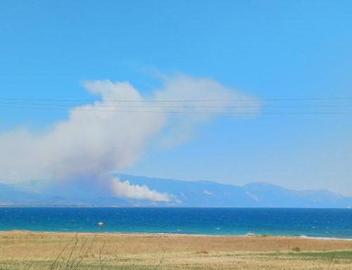 Πυρκαγιά σε δασική έκταση στο Σκάλωμα Φωκίδας – Ισχυρή κινητοποίηση της Πυροσβεστικής