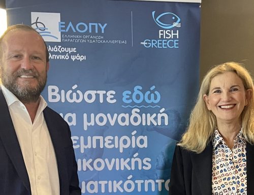 ΕΛΟΠΥ: Επιστημονική τεκμηρίωση και διαφανής ενημέρωση για την αξία των ελληνικών ψαριών εκτροφής